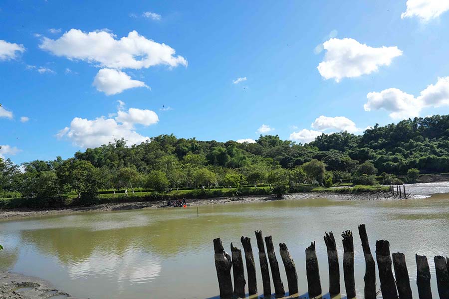 NPUST Cooperates with Conservation Agency to Restore Jingsi Lake